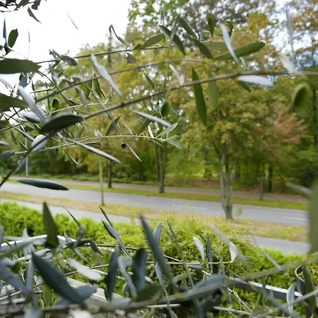 Apartamento Modernes 2-zimmer Mit Balkon Munique