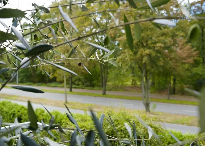 Apartament Modernes 2-zimmer Mit Balkon Munster (North Rhine-Westphalia)